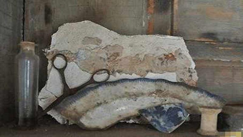 男子發現泥土中掩埋著四腳不明物, 扒開泥土看到這樣的畫面