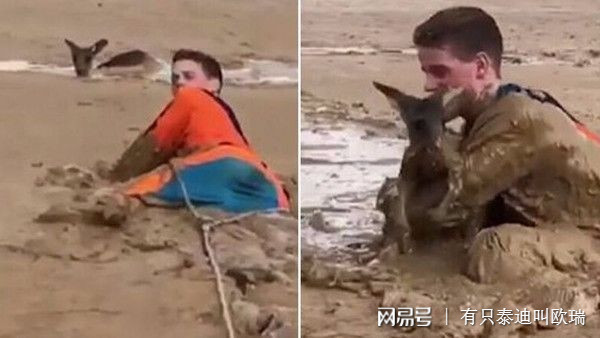 路遇落難國寶　澳少年冒險跳泥漿…小袋鼠獲救滿臉萌