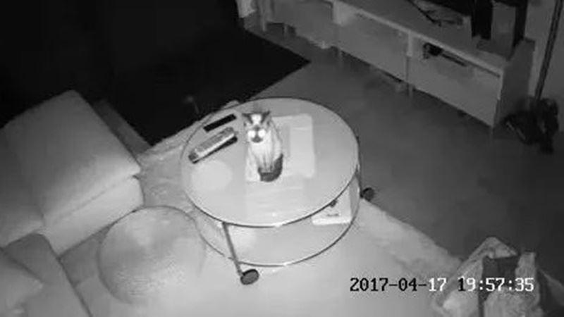 老師，你再給我這麼多作業，我家3隻狗可能就要在路上堵你了