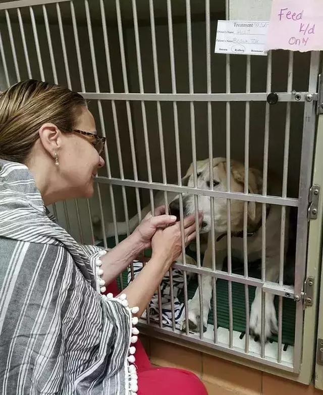 經歷長達5年的冷落和嫌棄後，這隻丑狗終於獲得了幸福的狗生
