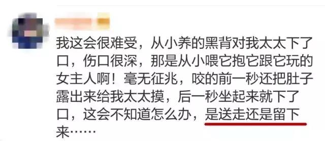 突然被自家狗咬了一口，要不要把狗丟掉？