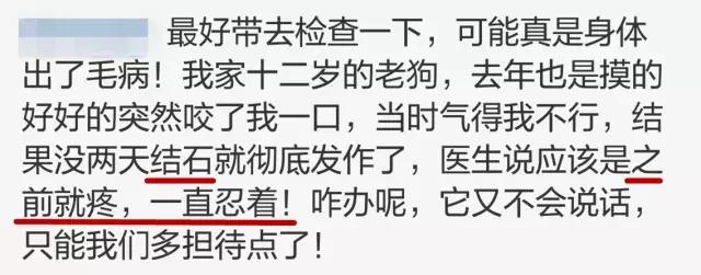 突然被自家狗咬了一口，要不要把狗丟掉？
