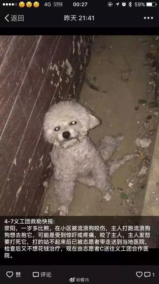 突然被自家狗咬了一口，要不要把狗丟掉？
