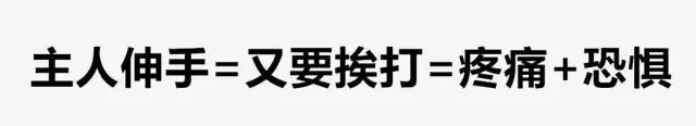 突然被自家狗咬了一口，要不要把狗丟掉？