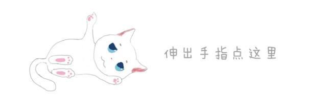 長毛金金開心去「寵物店美容」，回來後竟只剩「一片面膜」貼臉...主人：還我金金QQ