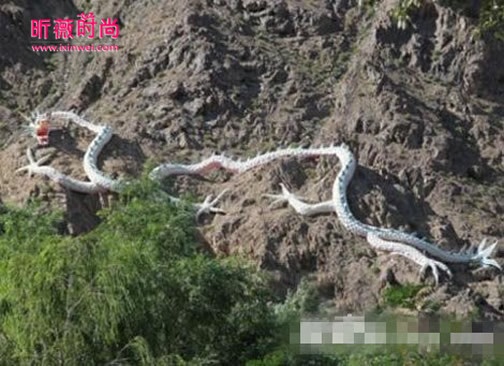 中國天墜真龍！事件震驚全國：千人目睹其垂死過程，原來世上真的存在真龍！