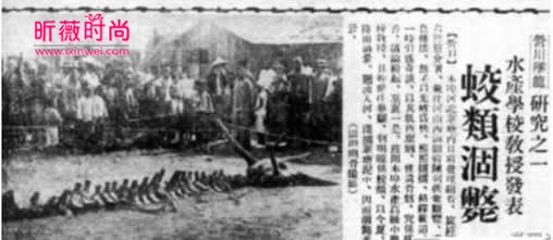 中國天墜真龍！事件震驚全國：千人目睹其垂死過程，原來世上真的存在真龍！