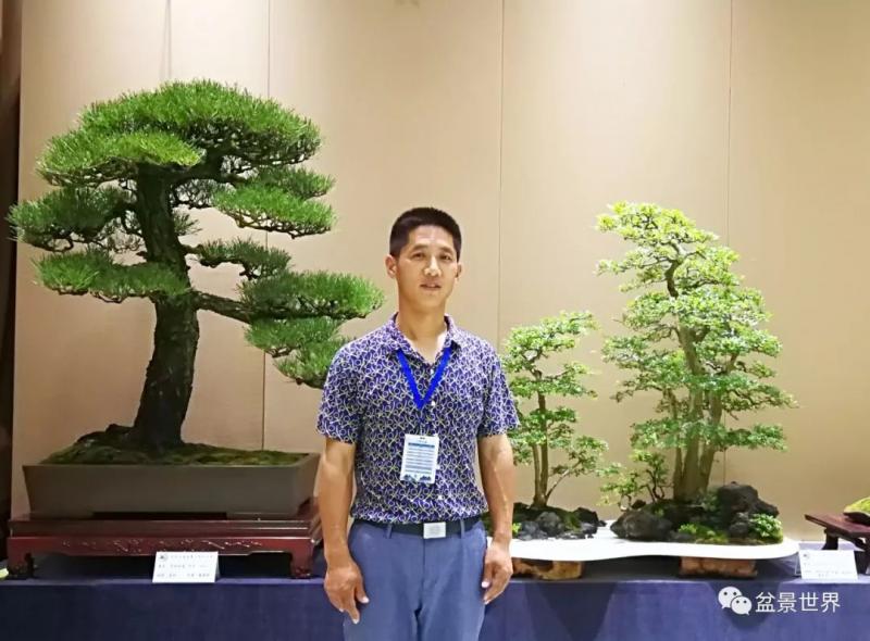 青年才俊張志剛盆景藝術 