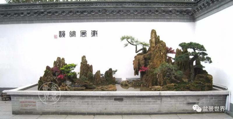 青年才俊張志剛盆景藝術 