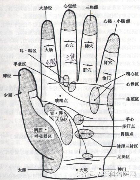 「手穴操+4道保健食譜」幫你趕走疲勞，頭不痛了人也精神了！