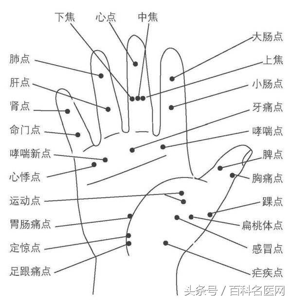 「手穴操+4道保健食譜」幫你趕走疲勞，頭不痛了人也精神了！
