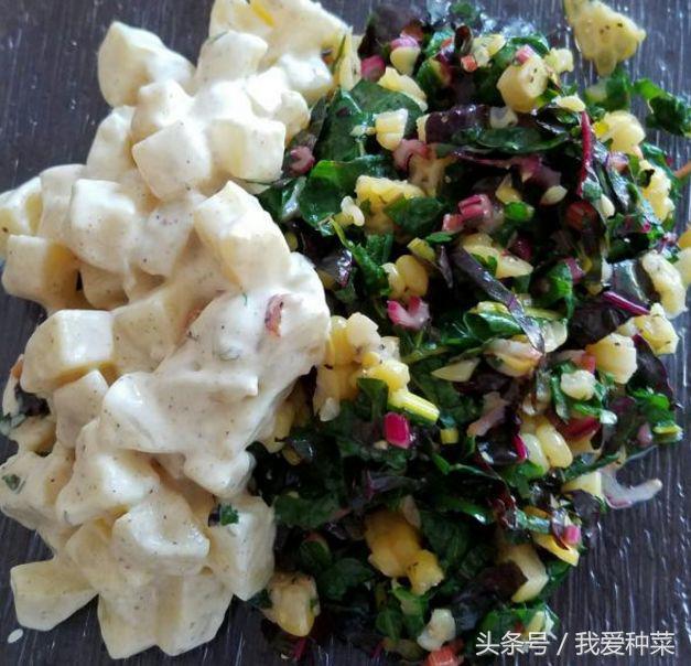 天熱種這種葉菜，耐高溫不生蟲，關鍵它摘葉子吃，越摘長得越多