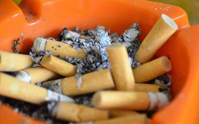 在家自製殺蟲劑，比外面買的有效多了 