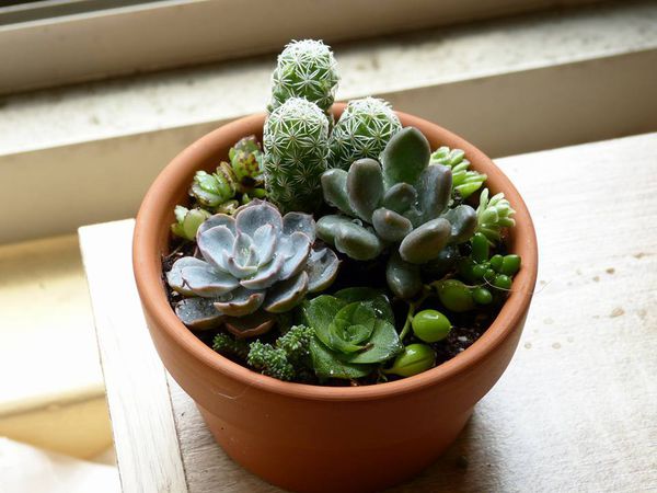 花器DIY 玻璃瓶&陶瓷打洞教學