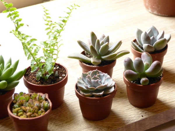 花器DIY 玻璃瓶&陶瓷打洞教學
