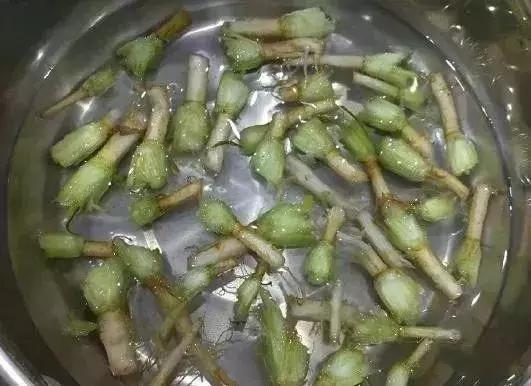 萬萬沒想到，這12種天天往外扔的東西是個寶，感覺自己扔了一個億