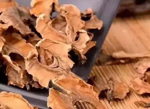 萬萬沒想到，這12種天天往外扔的東西是個寶，感覺自己扔了一個億