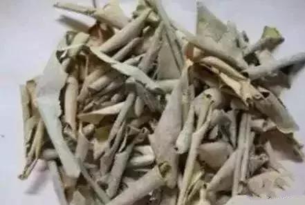 萬萬沒想到，這12種天天往外扔的東西是個寶，感覺自己扔了一個億