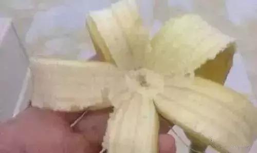 萬萬沒想到，這12種天天往外扔的東西是個寶，感覺自己扔了一個億