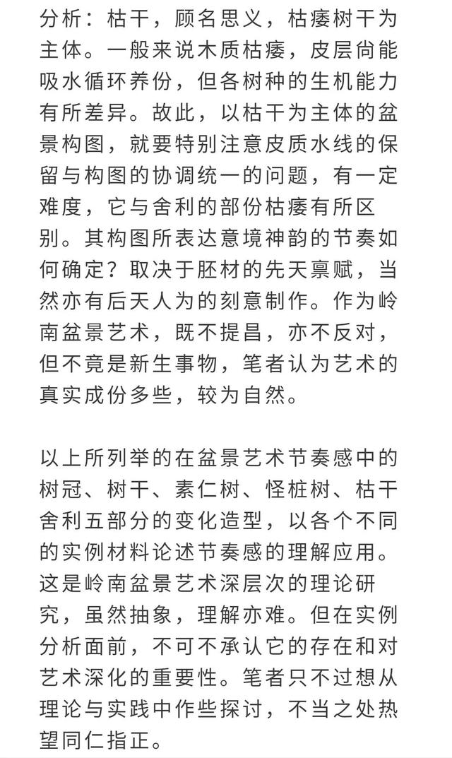 盆景走勢圖，枯乾、舍利的節奏感變化