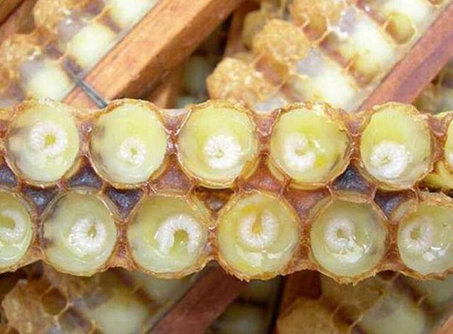 吃著吃著就變大！逼人「胸器」靠這5種食物