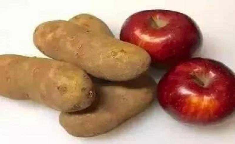 學會這一招，蔥蒜薑放半年都不會壞 ！簡單實用保存法，學起來！