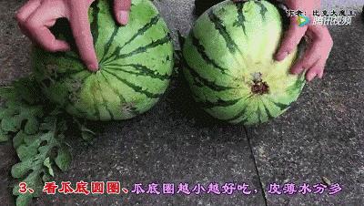 買過幾百斤水果才知道，這樣挑水果最好，個個都香甜！