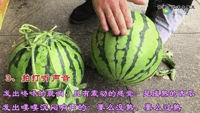 買過幾百斤水果才知道，這樣挑水果最好，個個都香甜！