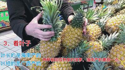 買過幾百斤水果才知道，這樣挑水果最好，個個都香甜！