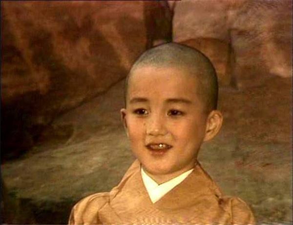 當年《婉君》中的小少爺，如今身家數億，還娶了甄嬛傳中的她