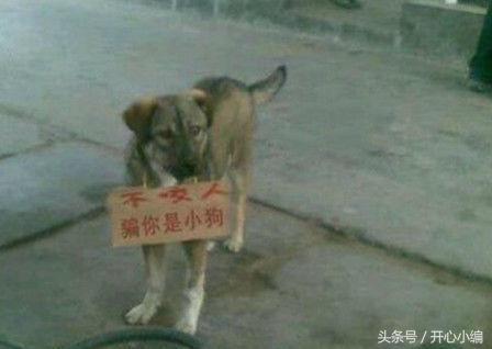 姑娘，這樣專心治治的蹲著看手機陪看光了還渾然不知那