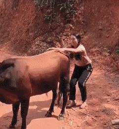 姑娘，這樣專心治治的蹲著看手機陪看光了還渾然不知那