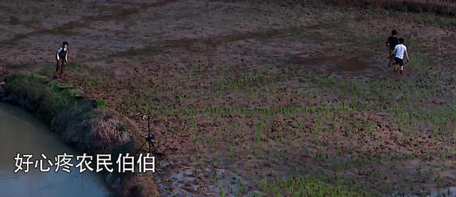 何炅穿幾千塊的T恤插秧，被節目組打上馬賽克，芒果後期太牛了吧