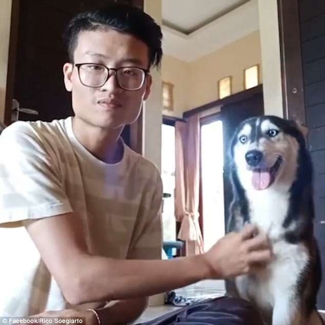 完全認不出來是當初那隻　瘦到讓人心碎的月月「收編後變健康了」