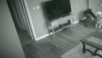 監拍：淩晨1點 女孩房內驚險一幕