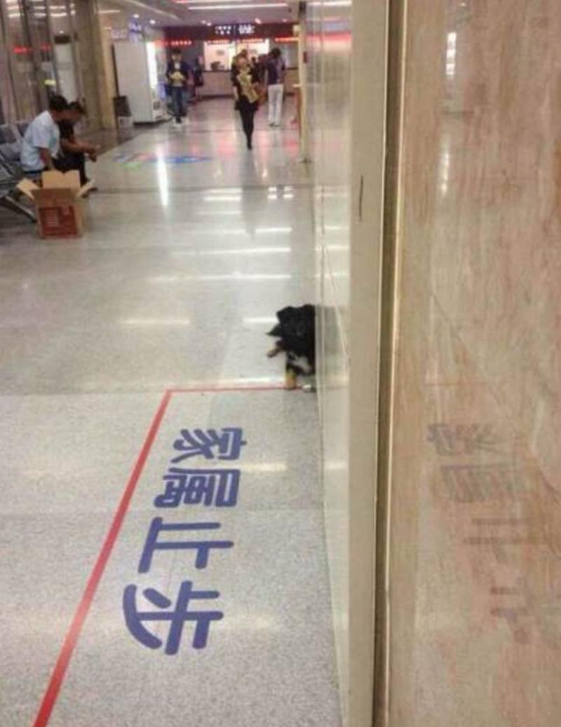 監拍：淩晨1點 女孩房內驚險一幕