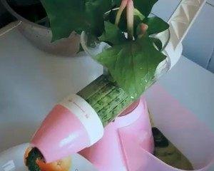 饅頭又出新造型，一鍋蒸一個，過節在家露一手，招待客人特有面子
