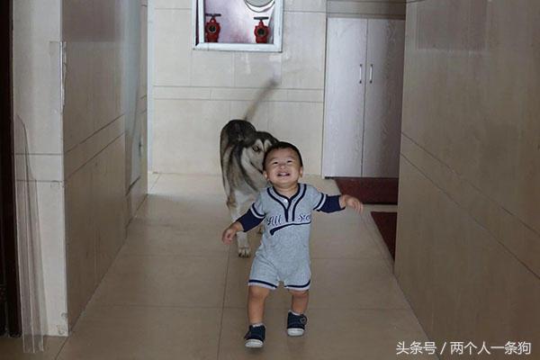 女主人生寶寶以後堅持不送走哈士奇，兩年後當初勸她的人都後悔了 