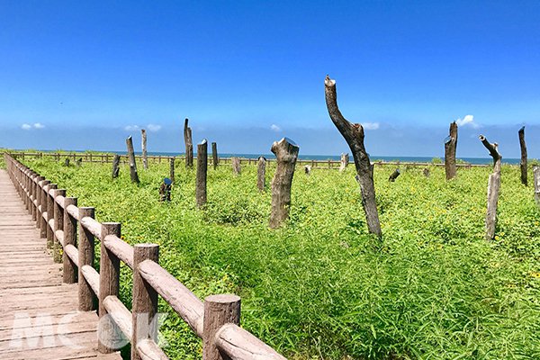 根本不用濾鏡！彰化十大夢幻景點