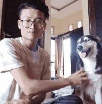 一隻面目全非的哈士奇蹲在牆角哭泣，小哥心軟：走，跟我回家！