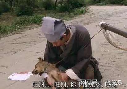 全中國十隻狗有九隻都叫這些名字，看看你家狗的名字上榜了嗎？