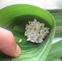 端午必備：學會這8種口味粽子的做法，再也不愁不會包粽子了！