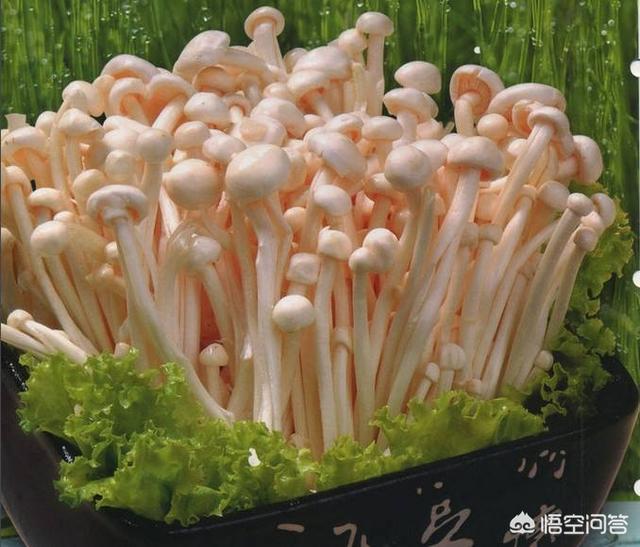 吃金針菇有什麼好處？ 幫助減肥嗎？