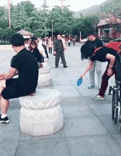 「你可能不信，我剛被一隻邊牧調戲了！」 