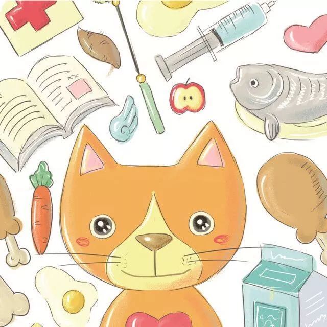 主人過世入土時，貓咪突然的反應，讓人淚奔~ 