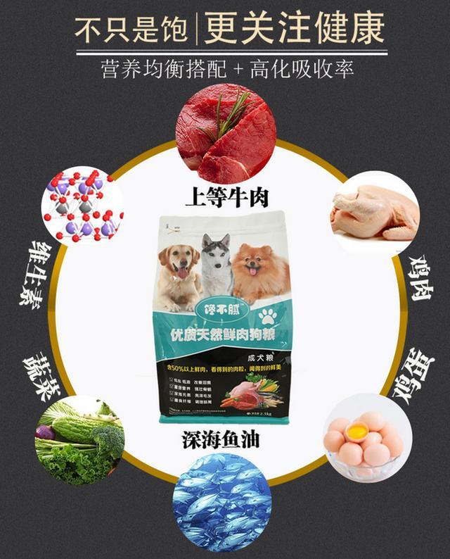 讓狗狗長壽的6大好習慣，你做對了嗎 