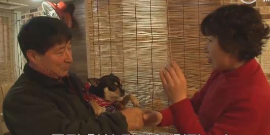 小狗拋棄原主人，自己選擇新主人，鄰居為此還開了個討論會！