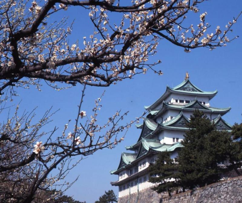 制霸各地城堡！日本城堡人氣排行榜