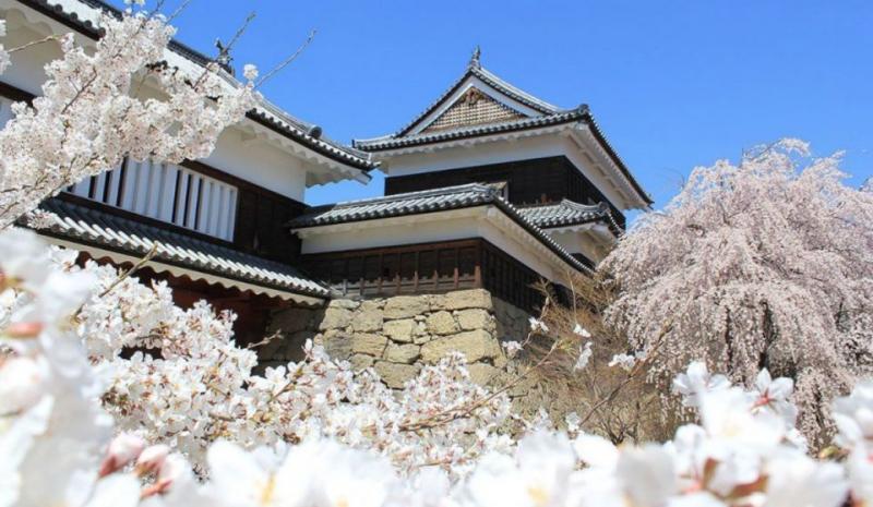 制霸各地城堡！日本城堡人氣排行榜