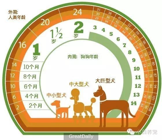 狗狗年紀怎麼算？ 可不都是1：７哦！